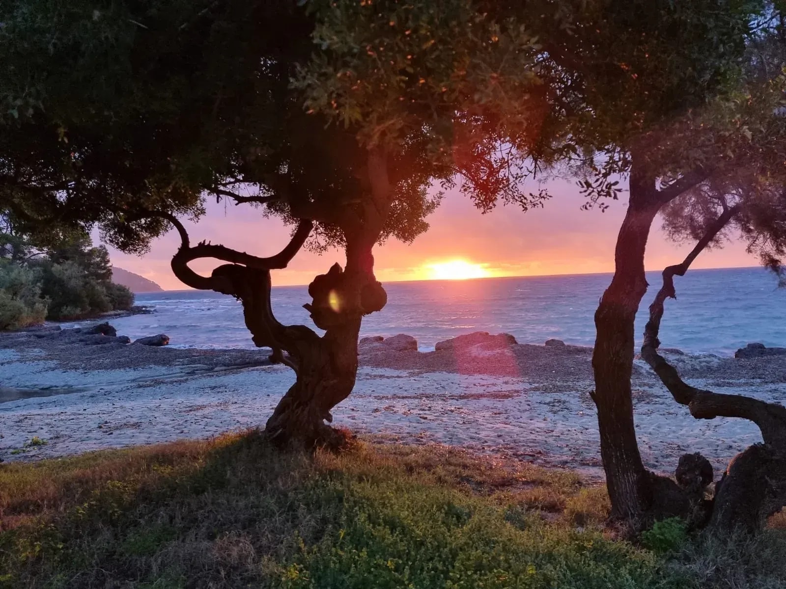 Geführte Meditationen mit Sandra Hielscher – individuell & online