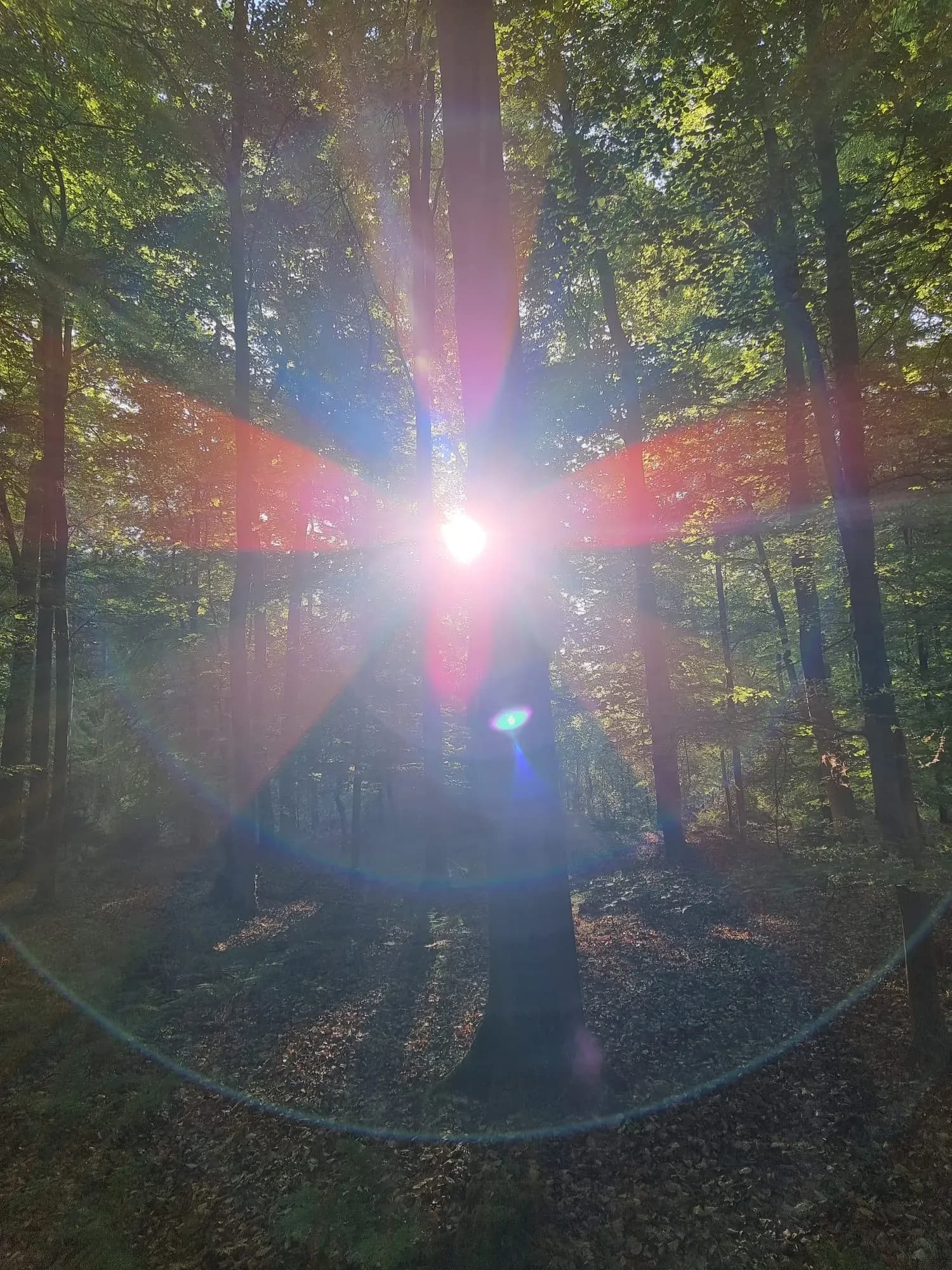 Meditative Rückführung in frühere Leben – energetische Reise zur Selbsterkenntnis mit Sandra Hielscher