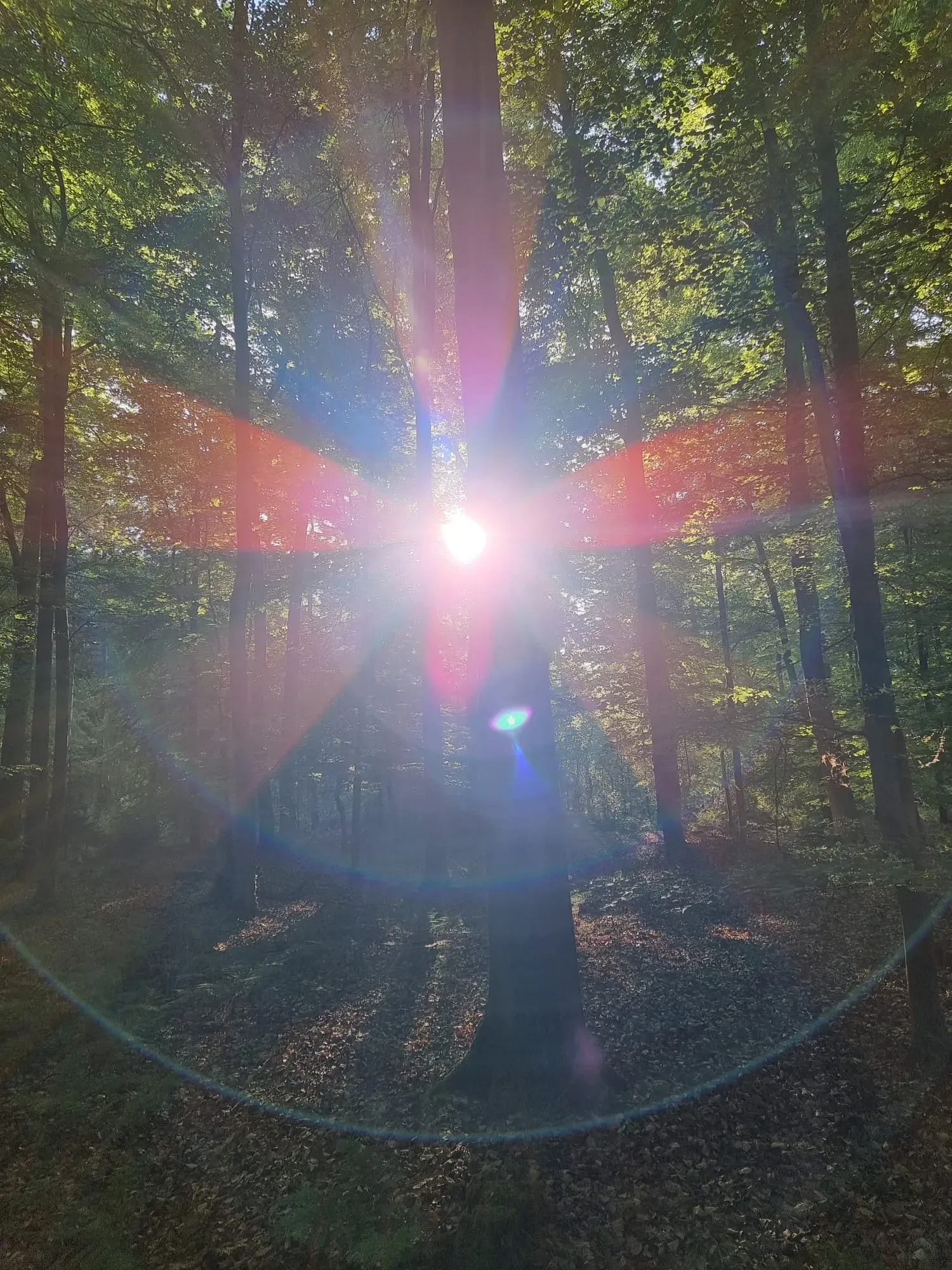 Rückführungen mit Sandra Hielscher – Deine Reise in frühere Leben