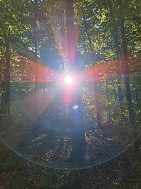 Meditative Rückführung in frühere Leben – energetische Reise zur Selbsterkenntnis mit Sandra Hielscher